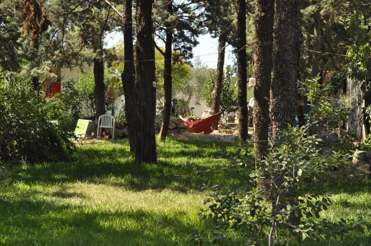 Villa Parco Alta Murgia كاسانو ديلي مورجي المظهر الخارجي الصورة