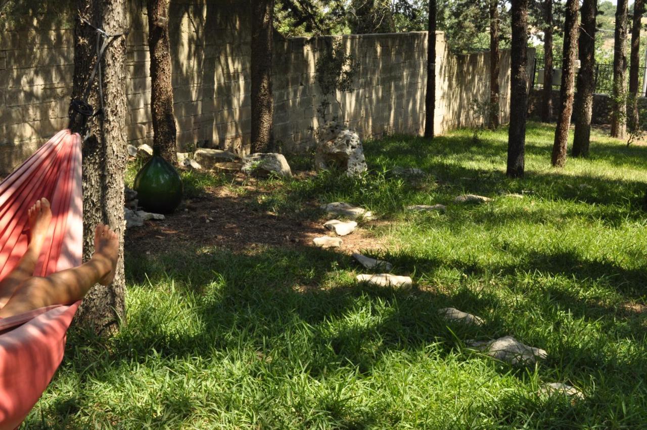 Villa Parco Alta Murgia كاسانو ديلي مورجي المظهر الخارجي الصورة