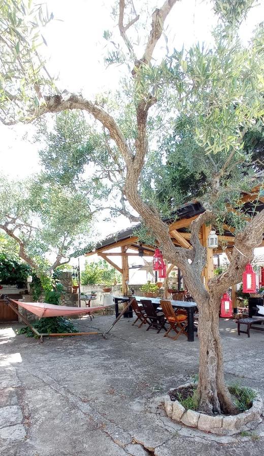 Villa Parco Alta Murgia كاسانو ديلي مورجي المظهر الخارجي الصورة