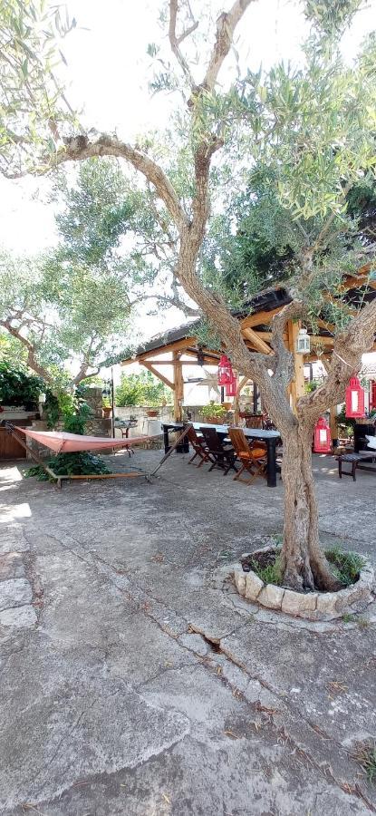 Villa Parco Alta Murgia كاسانو ديلي مورجي المظهر الخارجي الصورة