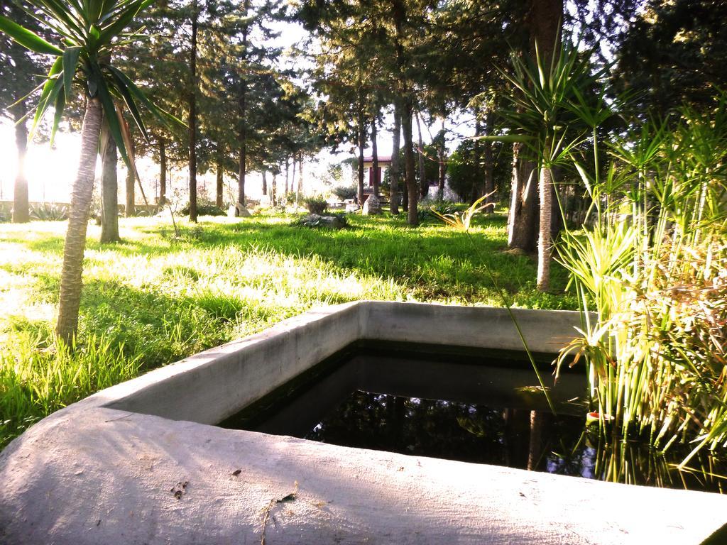 Villa Parco Alta Murgia كاسانو ديلي مورجي المظهر الخارجي الصورة