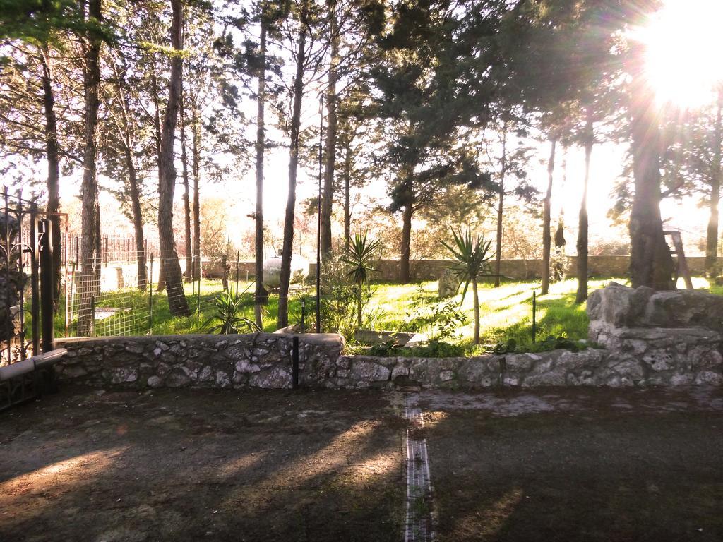 Villa Parco Alta Murgia كاسانو ديلي مورجي المظهر الخارجي الصورة